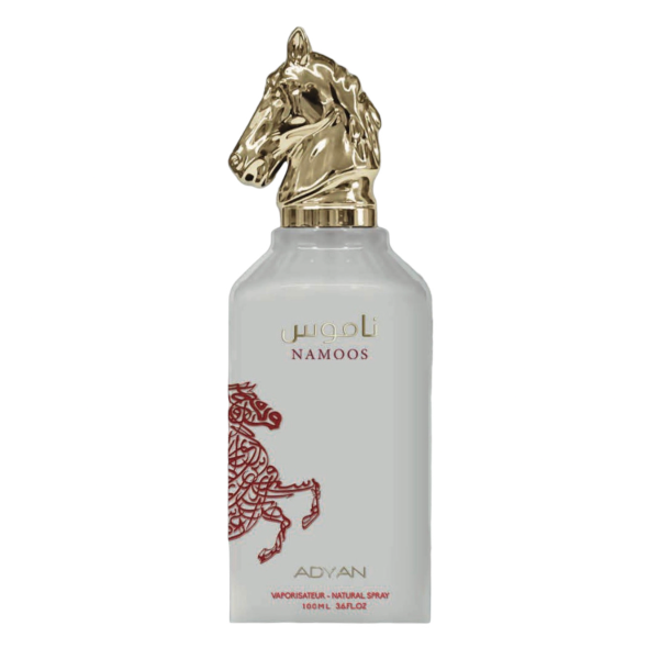 Perfume Adyan Namoos Hombre 100ML EDP
